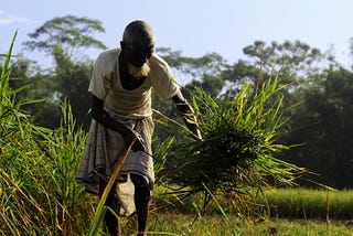 Why Indian Farmers Are Protesting – 5 Things You Need To Know