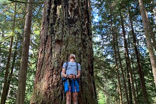 Why You Need More Trees in Your Life