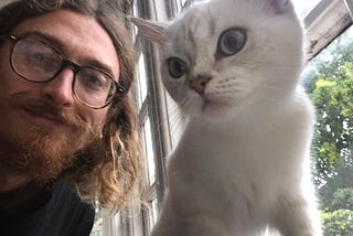 Stabilising in Non-dual Awareness after a Year of Practice