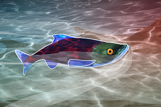 Tips for the UX Salmon: how to keep swimming in organizations new to UX