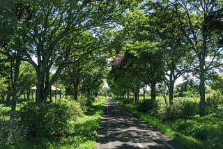 ひがし北海道リモートワーク戦記