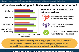 Infographic titled Well-Being in Newfoundland and Labrador