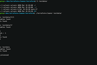 Terraform cleaner