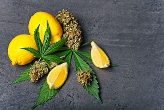 How to use Terpenes At Home: The Pharmacy In Your Back-Yard