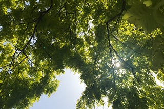 Daydreaming under a city pergola