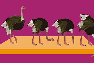 Amazon is not great, but the others are worse — Ostrich looking for a grain