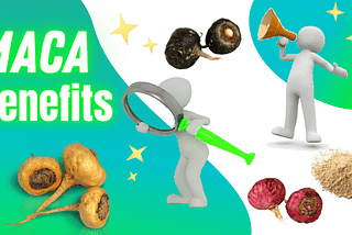 Benefits of Peruvian Maca Root