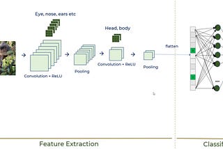 Convolutional Neural Network in Deep Learning