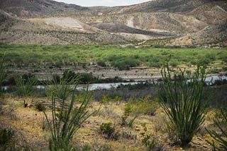 Photo of the Texas-Mexico border with a narrow strip of the Rio Grande flowing between the two countries. Green bushes in the foreground. Stark brown hills in the background.