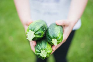 Person holding three green zucchini.