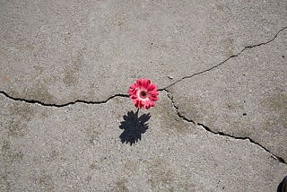 Are Things Falling Apart to Make Space for Your Manifestation?