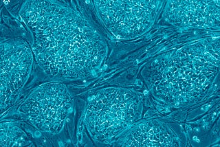 The Promise and Challenge of Stem Cells