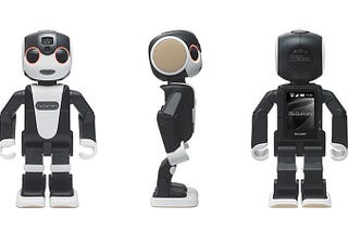 RoBoHon — a next generation smartphone to be released next year!