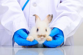 Animal Product Testing in China Decoded