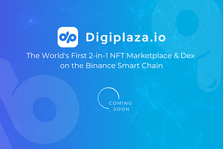 Introduction to Digiplaza