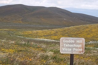 View of a distant peak at the Antelope Valley poppy reserve