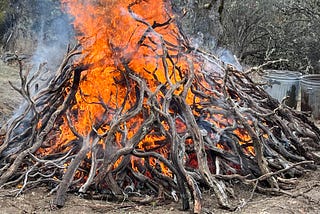 Why the West Needs More Fires