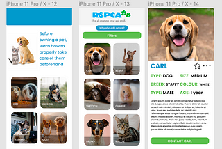 RSPCA Pet Care Mobile App: Concepts