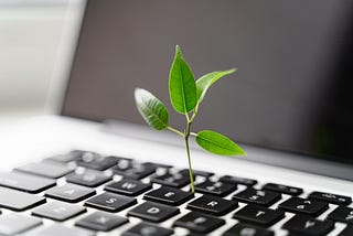 How to Transform Generic ChatGPT Outputs into Quality Content with “Seed Prompting”