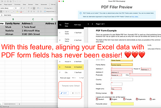 New Feature: Custom Data Mapping between Excel data and PDF form