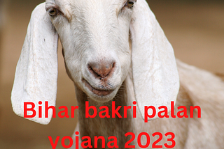 Bihar Bakri Palan Yojana 2023 ऑनलाइन आवेदन दस्तावेज़, लाभ