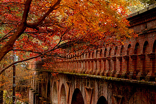 Autumn Arches, Japan