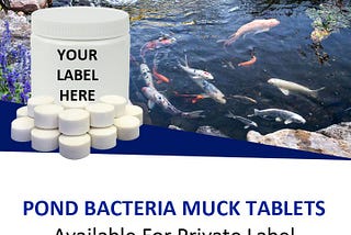 Pond Bacteria Muck Tablets | CassCo Bio Labs