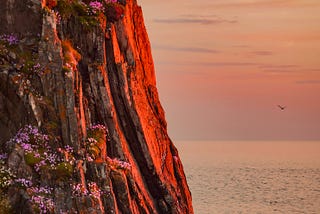 Thrift-Covered Cliffs on the Isle of Man