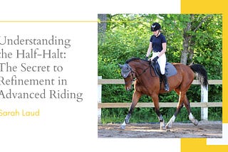 Understanding the Half-Halt: The Secret to Refinement in Advanced Riding