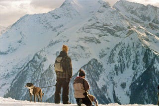 People and a dog overlooking a snowcapped mountain