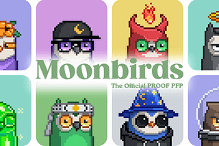 Moonbirds, the complete guide