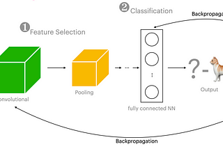 What happens in a deep learning image classifier?