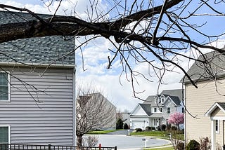 Impressions After Viewing an American Single-Family House for The First Time