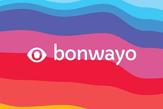 Bonwayo: my data visualization tool, which was never born
