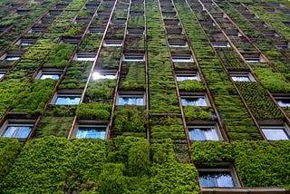 10 ways to make your business more sustainable. Level: Easy.