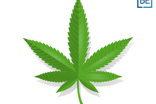 The status of Marijuana in Thailand, 2022