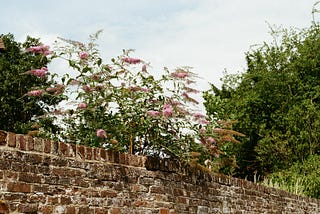 Keeping Your Walled Garden Flourishing Yet Accessible Too