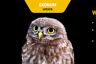 Exonum Releases v0.13 with Support for Dynamic Services