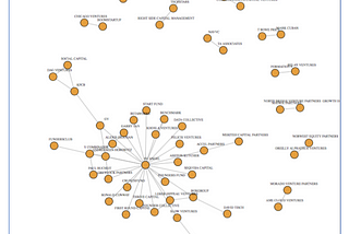 The Role of Venture Capital Networks in Startup Success