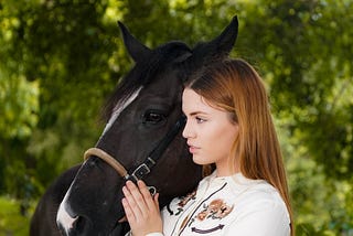 Horse or Human Image Classification