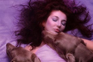 Release The Hounds — How Kate Bush’s timeless classic called out to me.