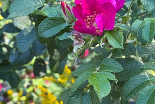 Autumn Continues Where Summer Left Off