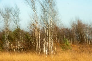 The Ghost in Devils Moor