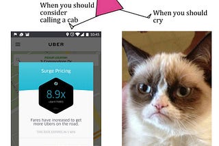 The case of Surge Pricing in Ride Sharing Services