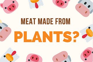 What’s the Beef with Meat Alternatives?