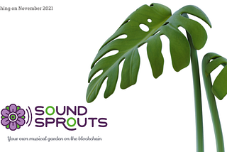 Introducing Sound Sprouts. A unique NFT social project.