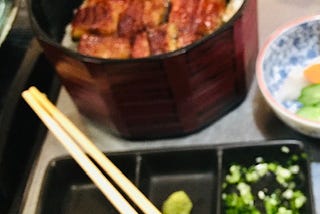 Unagi — Grilled Eel at Asakusa, Japan