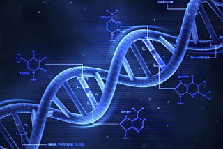 Structure of DNA and RNA