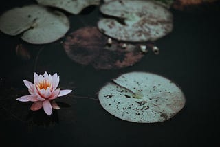 The Most Memorable (and Unexpected) Lesson about Leadership