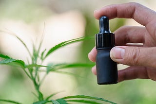 New York Unveils Regulations for CBD Products